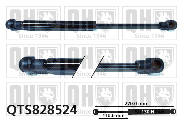 Quinton Hazell QTS828524 Gas Spring Convertible Top