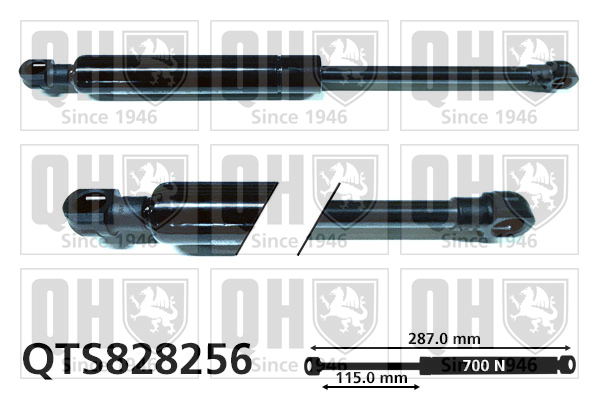 Quinton Hazell QTS828256 Gas Spring Convertible Top