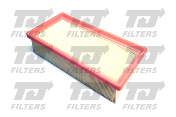 TJ Filters Air Filter QFA0955 [PM1485746]