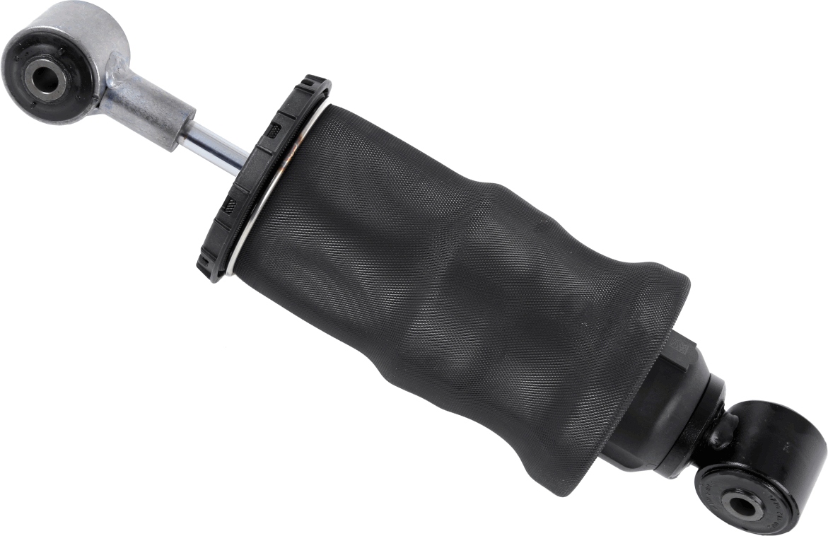 SACHS 317425