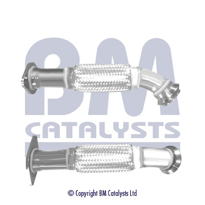 BM Catalysts BM50569K