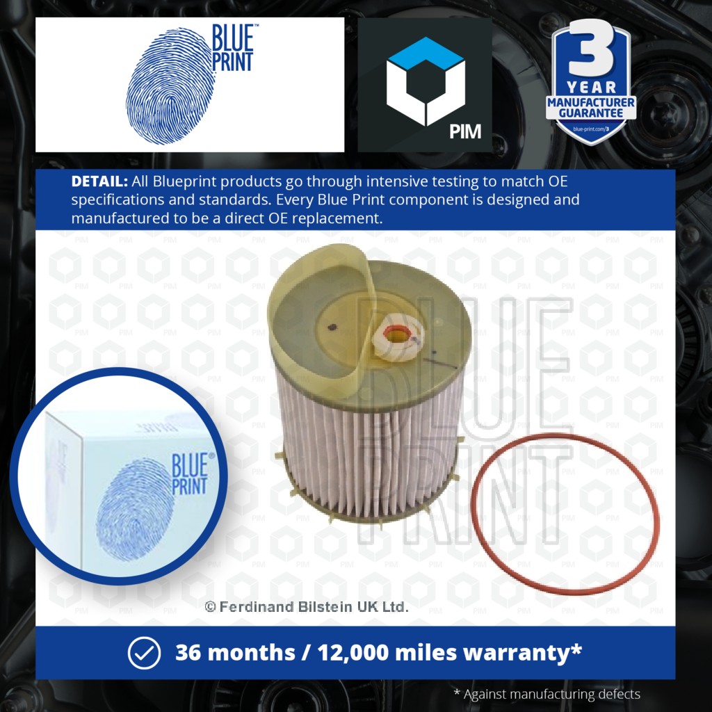 Blue Print Fuel Filter ADG02389 [PM1202979]