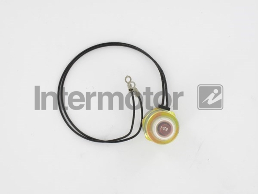 Intermotor Fuel Stop Solenoid 89569 [PM1048835]