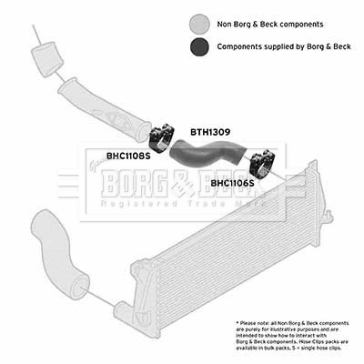 Borg & Beck BTH1309