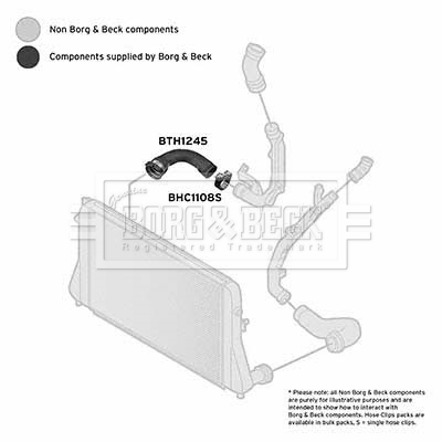 Borg & Beck BTH1245