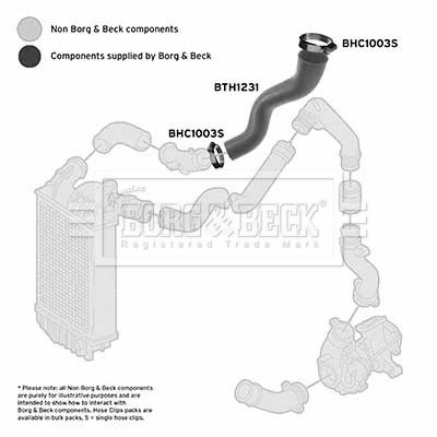 Borg & Beck BTH1231