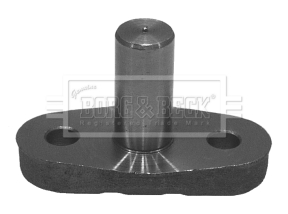 Borg & Beck BKP5831 Swivel Pin - Front