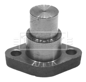 Borg & Beck BKP5830 Swivel Pin - Front