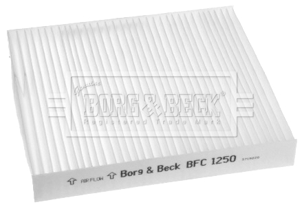 Borg & Beck BFC1250