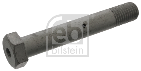 Febi 48393 Spring Pin