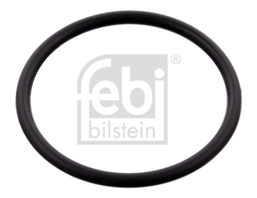 Febi 100077 Thermostat Gasket