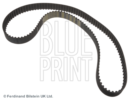 Blue Print ADN17529
