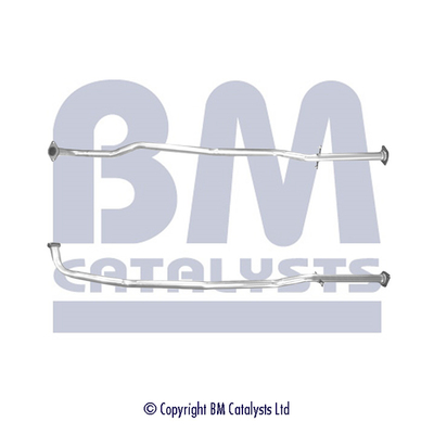 BM Catalysts BM70621