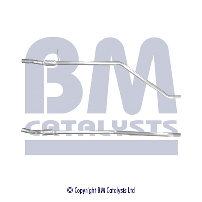 BM Catalysts BM50250