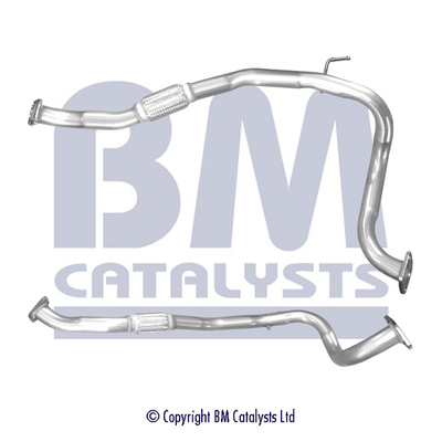 BM Catalysts BM50313