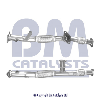 BM Catalysts BM50261