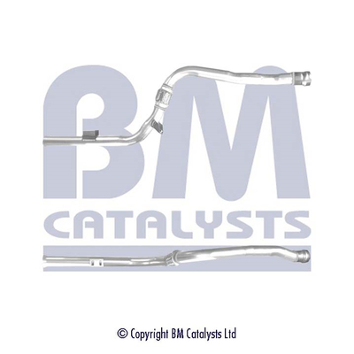 BM Catalysts BM50378