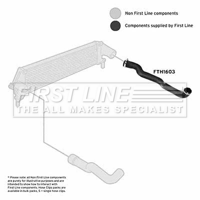 First Line FTH1603