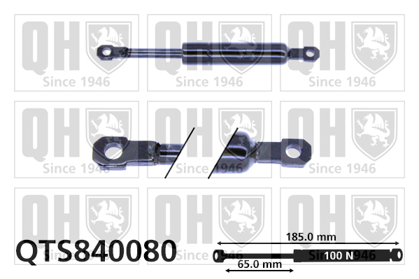 Quinton Hazell QTS840080 Gas Springs