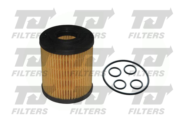 TJ Filters QFL0021