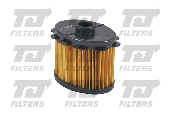 TJ Filters Fuel Filter QFF0011 [PM854364]