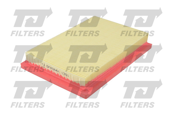 TJ Filters Air Filter QFA0844 [PM854303]