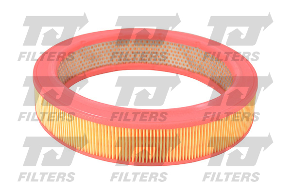 TJ Filters Air Filter QFA0382 [PM854037]