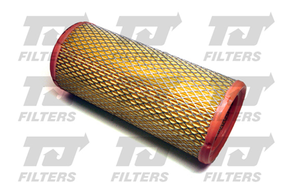 TJ Filters Air Filter QFA0221 [PM853944]