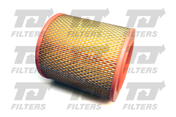 TJ Filters Air Filter QFA0175 [PM853914]