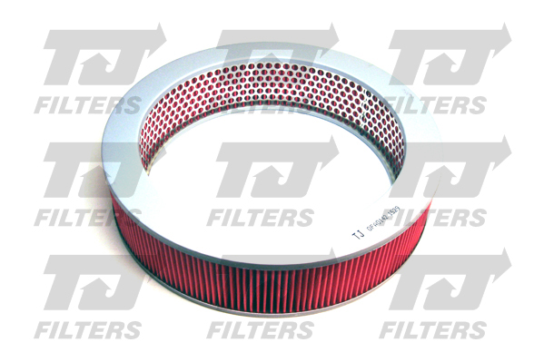 TJ Filters Air Filter QFA0142 [PM853899]