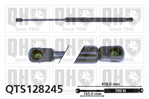 Quinton Hazell QTS128245