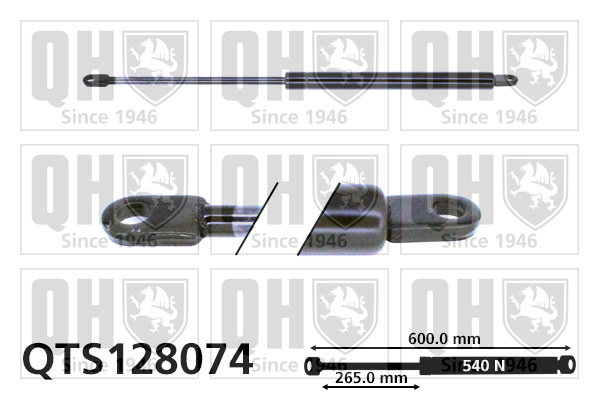 Quinton Hazell QTS128074