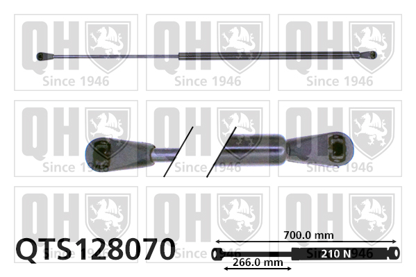 Quinton Hazell QTS128070