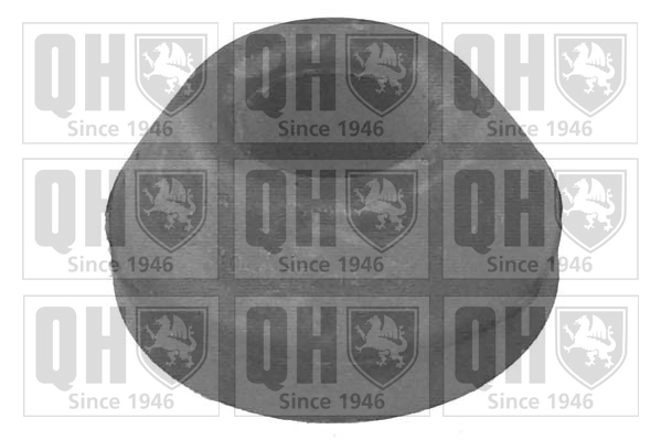 Quinton Hazell EMS8047