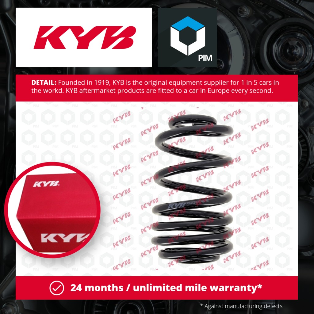 KYB Coil Spring Rear RX6216 [PM687528]