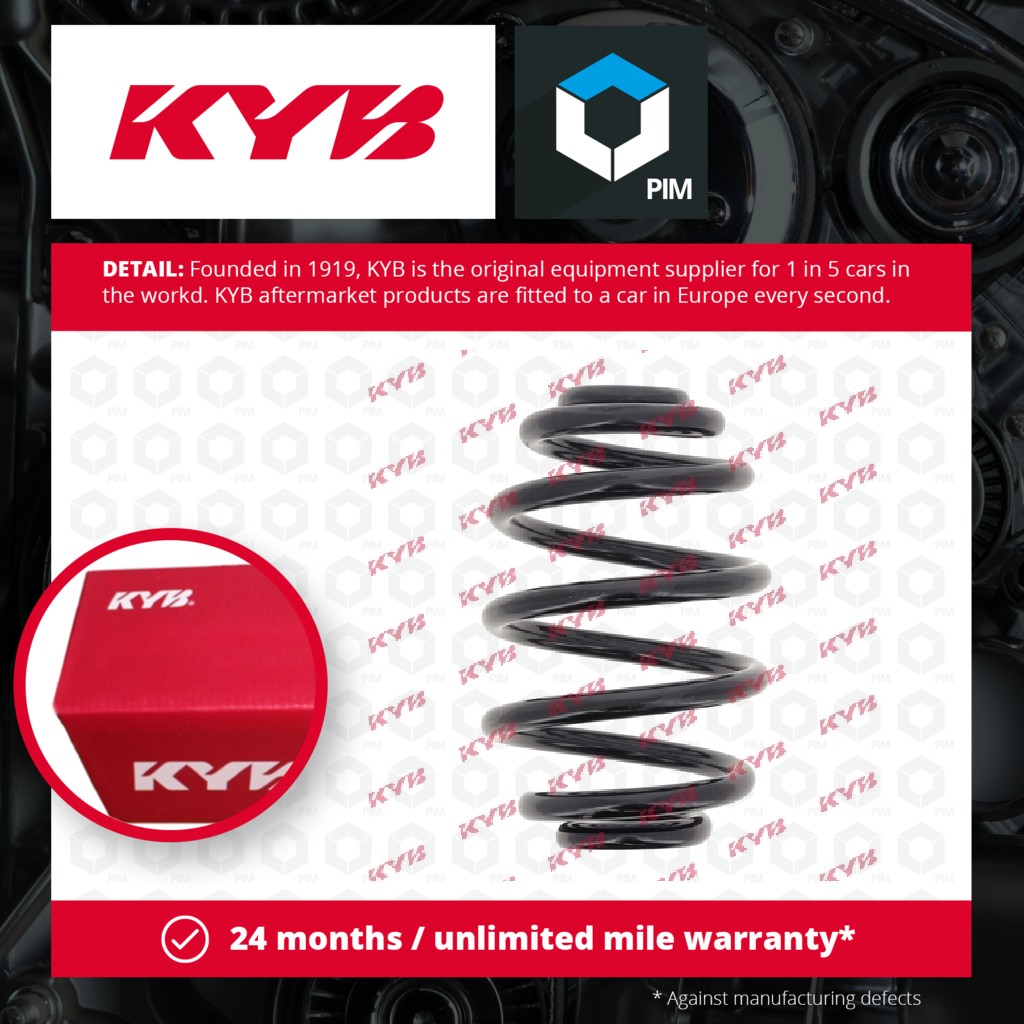 KYB Coil Spring Rear RX6188 [PM687518]