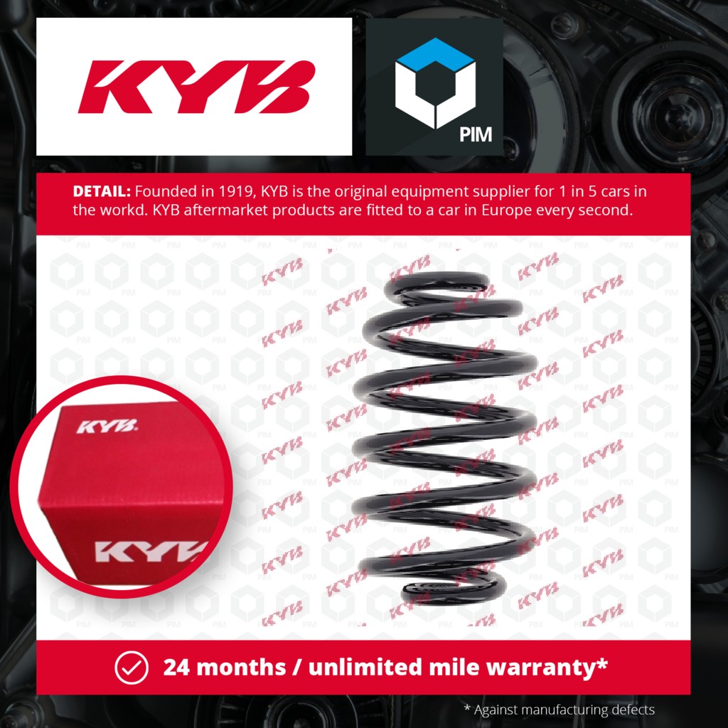 KYB Coil Spring Rear RX5025 [PM687478]