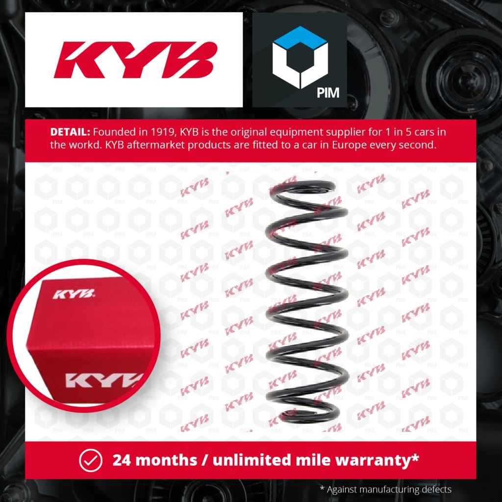 KYB Coil Spring Rear RH6596 [PM687188]