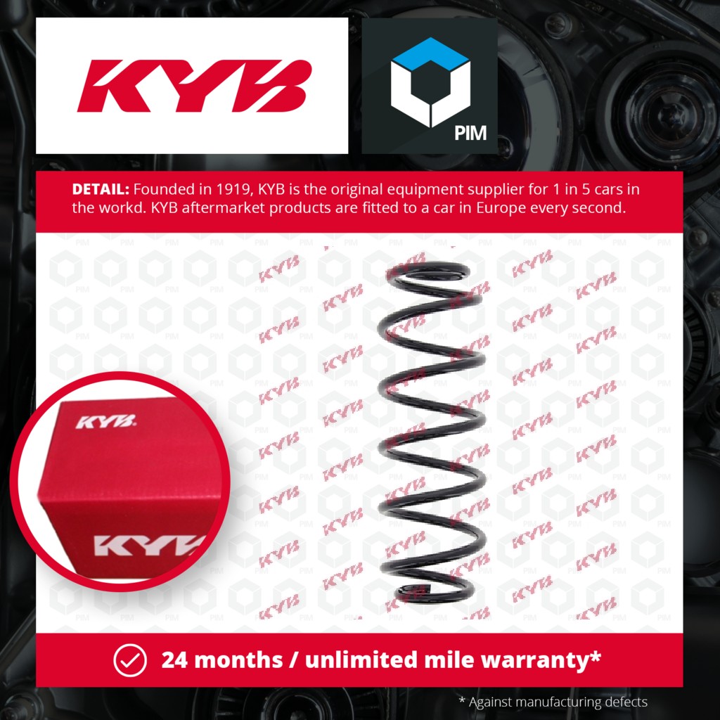 2x KYB Coil Spring Rear RH6097 [PM687131]