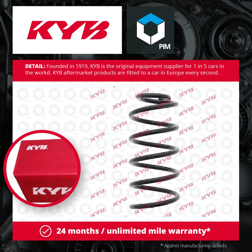 KYB Coil Spring Rear RG6538 [PM686694]