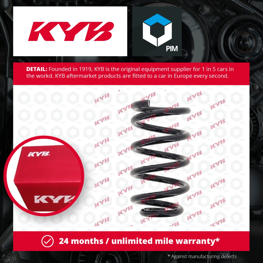 KYB Coil Spring Rear RG5220 [PM686670]