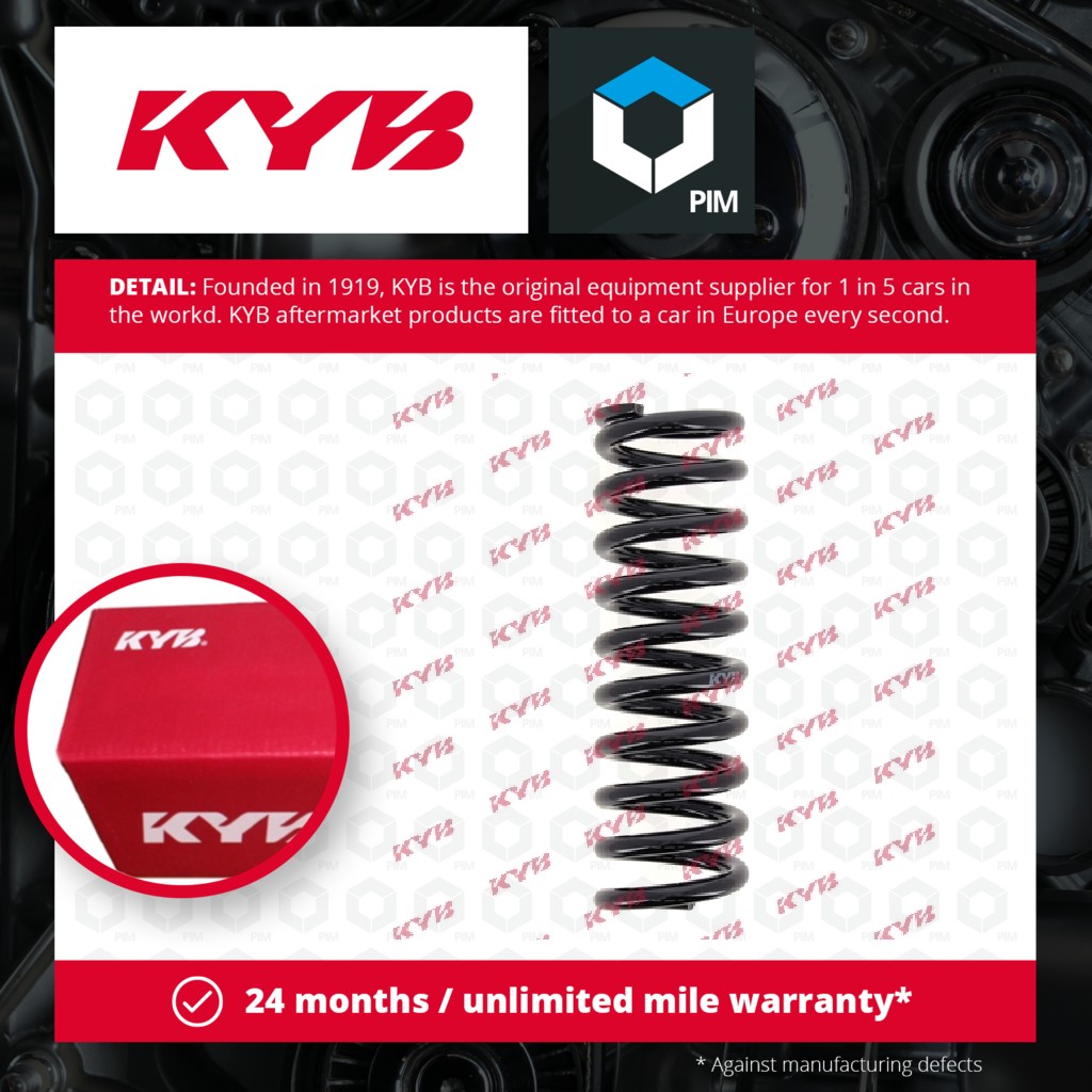 KYB Coil Spring Rear RD5083 [PM686462]