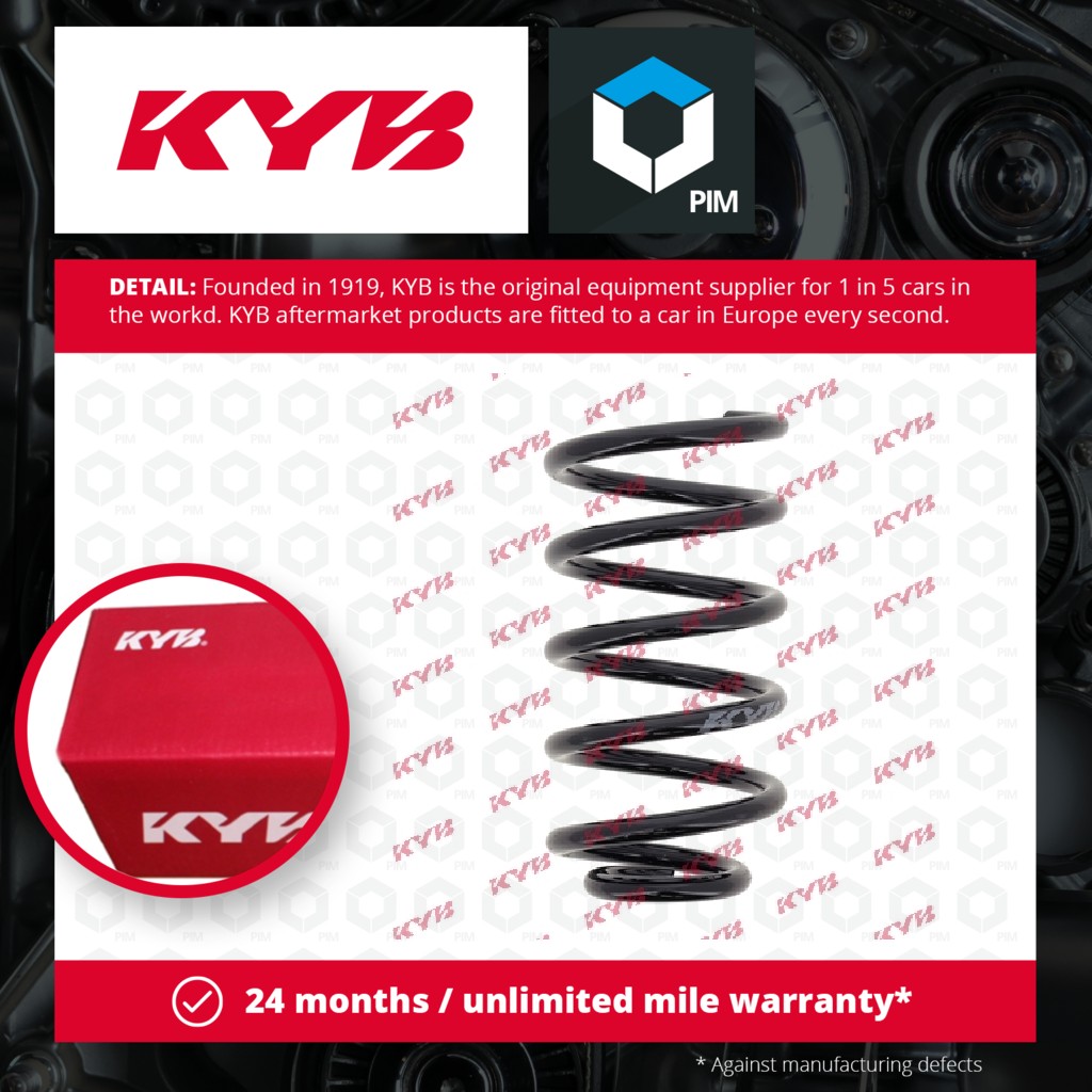 KYB Coil Spring Rear RC6391 [PM686307]