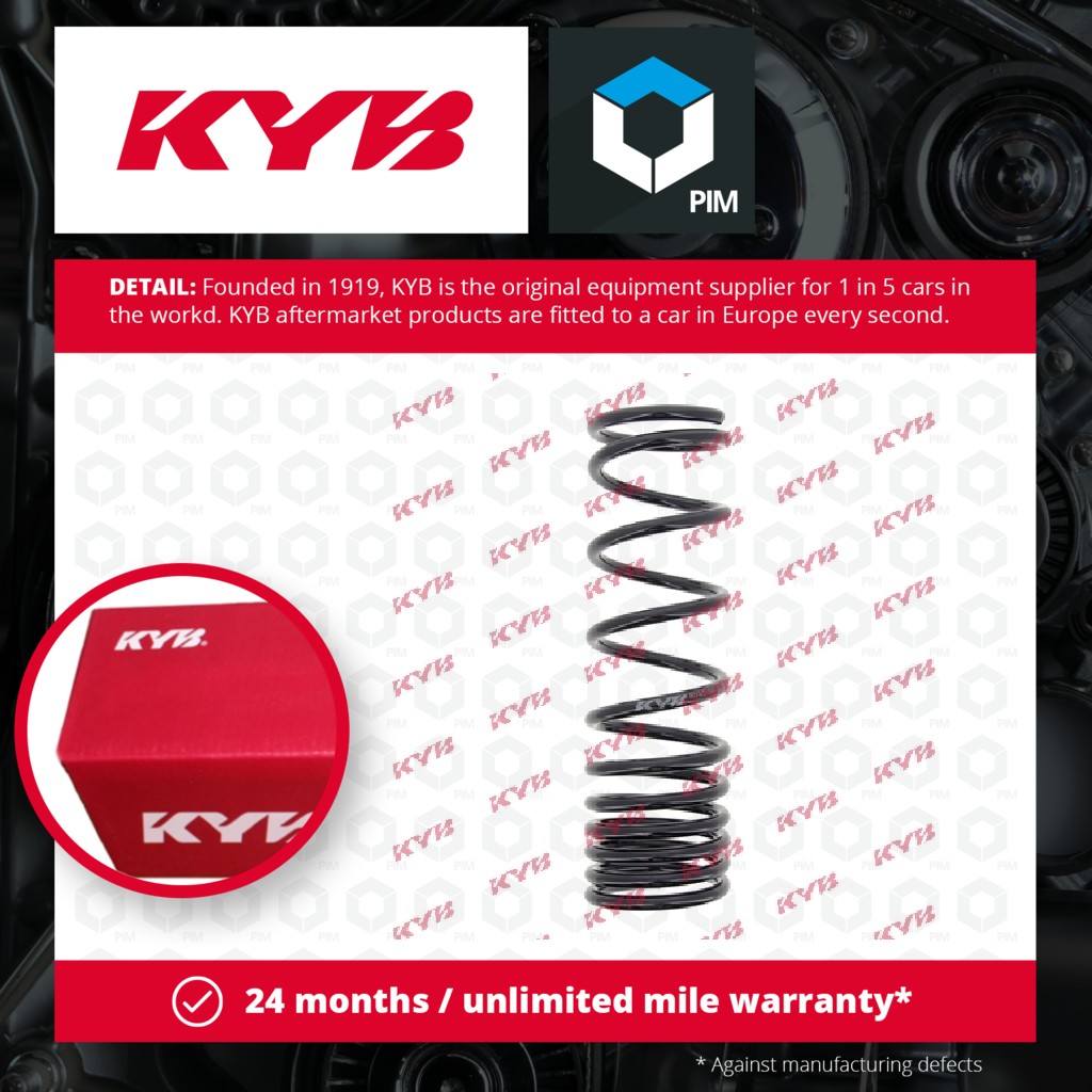 KYB Coil Spring Rear RA5506 [PM685663]