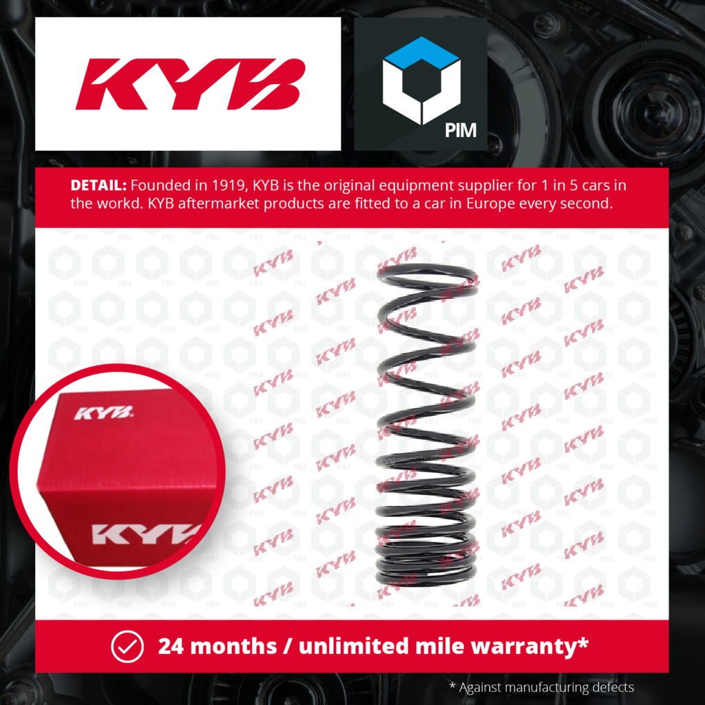 KYB Coil Spring Rear RA5503 [PM685661]