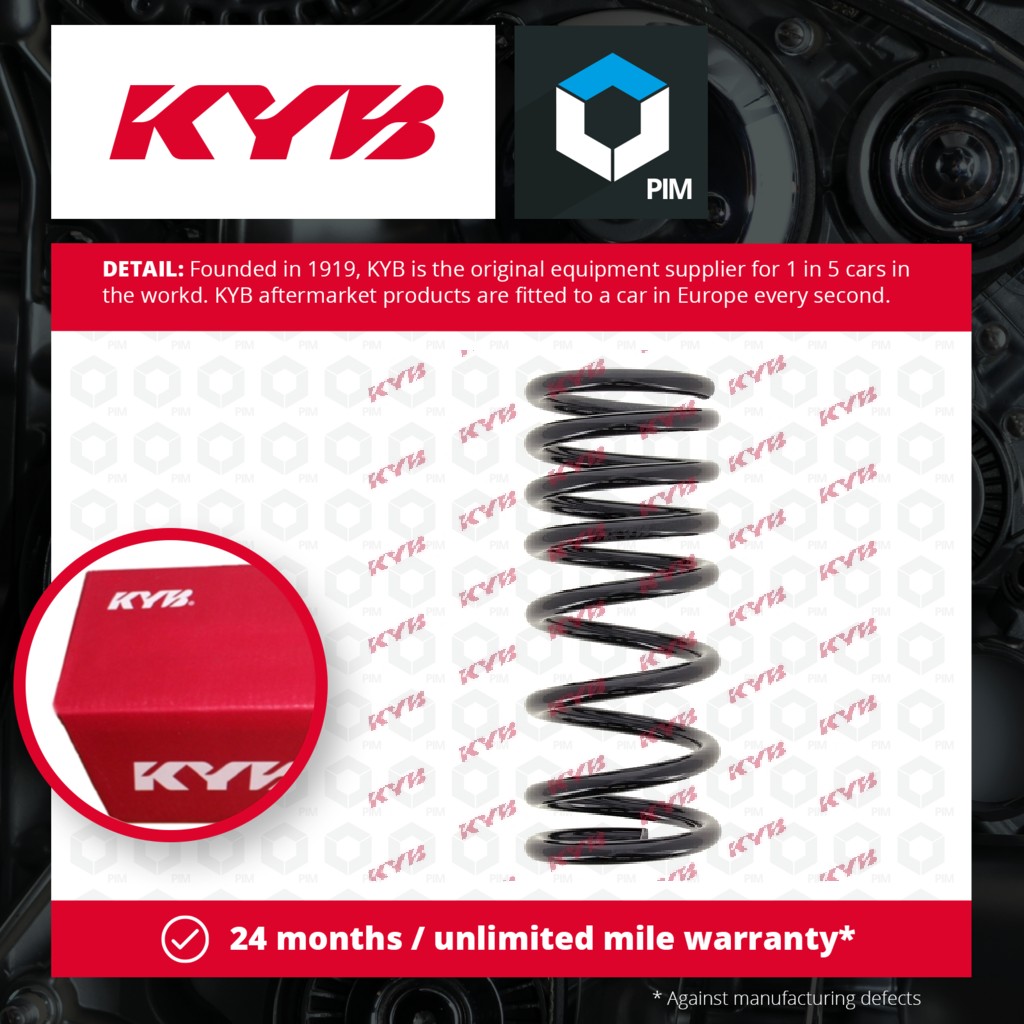 KYB Coil Spring Rear RA5290 [PM685611]