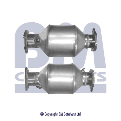 BM Catalysts BM91665