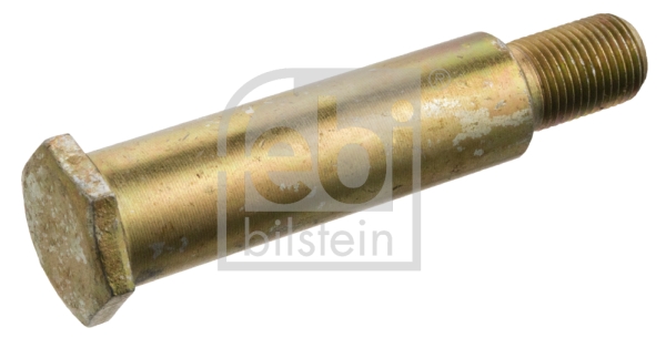 Febi 17619 Bolt Rear Outer