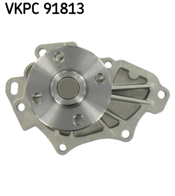 SKF VKPC91813