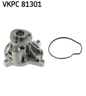 SKF VKPC81301